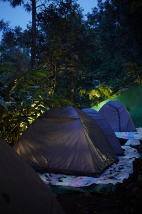 Hidden valley campsite